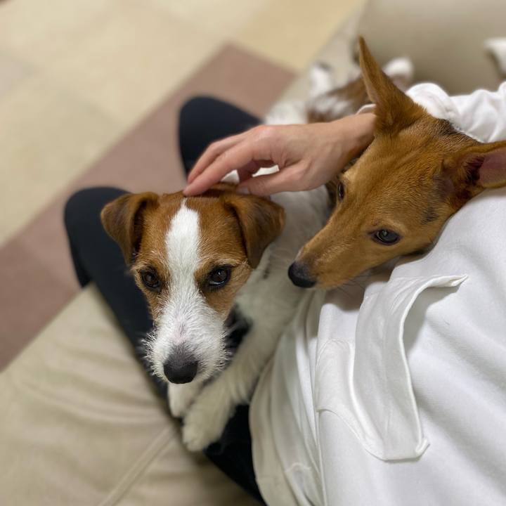 2cc7c039 ddac 4130 8d12 227f0b651fd9 1760566967531