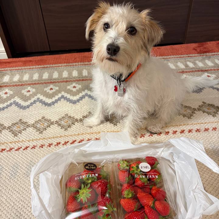 2cc7d2b3 567a 4160 9cad 41c1ed534e7e 1770454225179