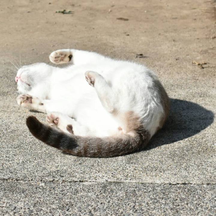 2cc7d4e7 89c7 4505 83e0 203641400053 1509857323577