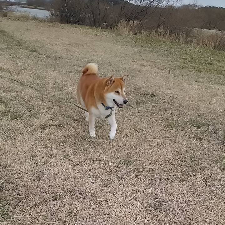 2cc7e0b4 bda4 4bd0 89a4 0e764e20d41f 1581235443899