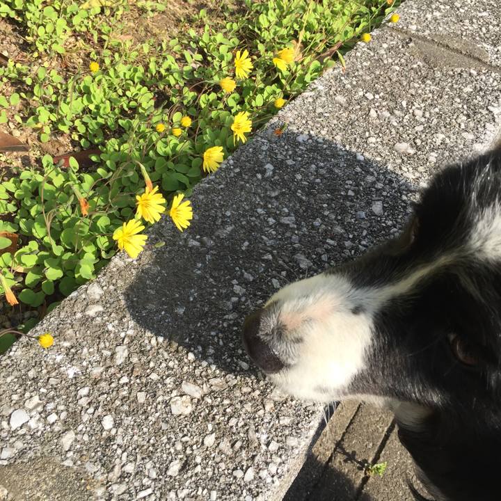 2cc7fa95 2082 4082 83df 781c18545566 1555546991125