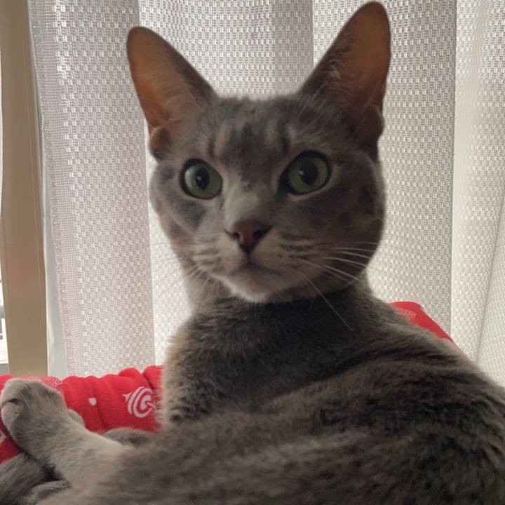 2cc81356 eb1b 46db b0f3 72e16ca9cd03 1647511849102