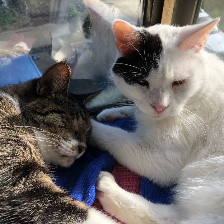 2cc813d6 1f71 450e bbb9 65731ab8f98d 1539493686965