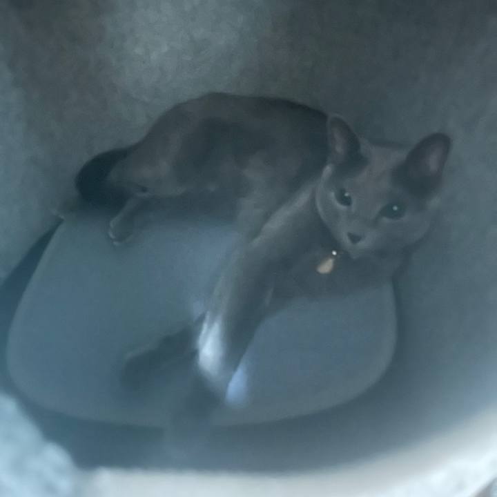 2cc81ec5 20a7 48a8 a0d6 2919dad575b0 1701690126475