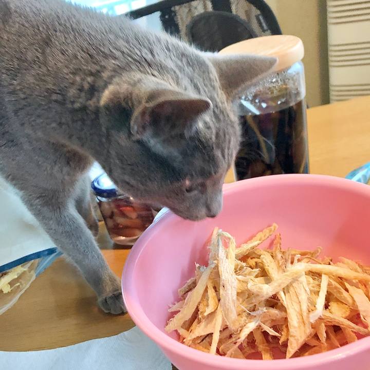 2cc845ed c7f9 4f48 ac18 b668f8162b85 1597112844272