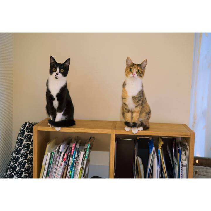 2cc87bcc cb75 4405 b0a8 d9b17c2ca02c 1602592913458