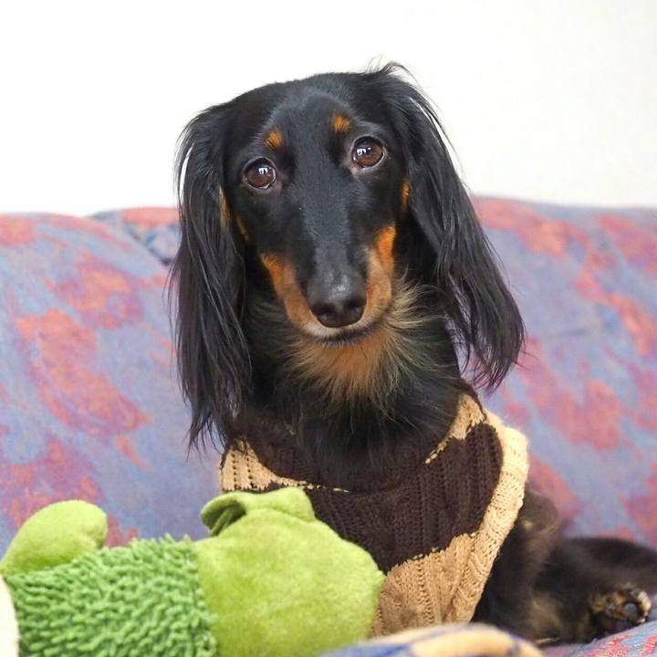 2cc8950b 4d52 488e b5b4 86823b9979d8 1518143304481