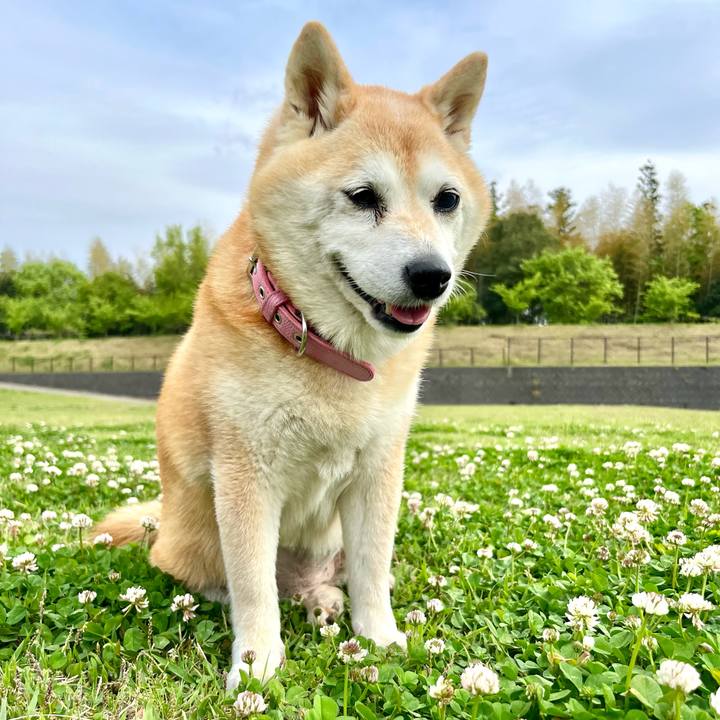 2cc8a92f c05e 4787 9dff cc9994a2116a 1753699369290