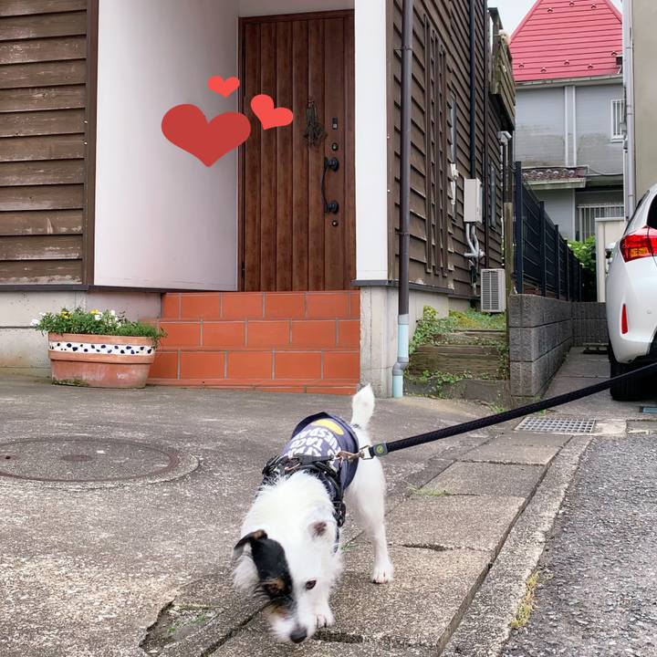 2cc8cefb 4914 4e3a 8190 27dca0f26fe3 1654675818746