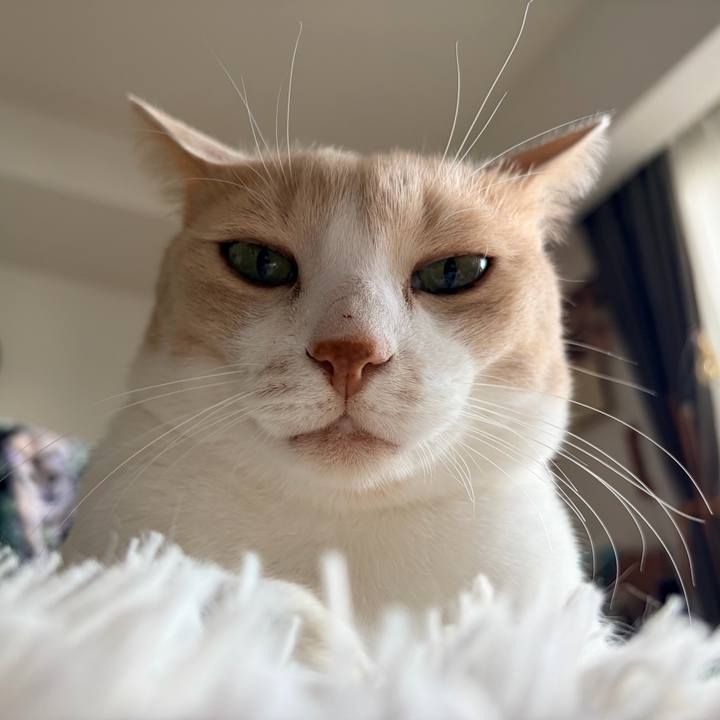 2cc8d9a2 bdbb 45a0 841f cb1a601cb171 1763682349750