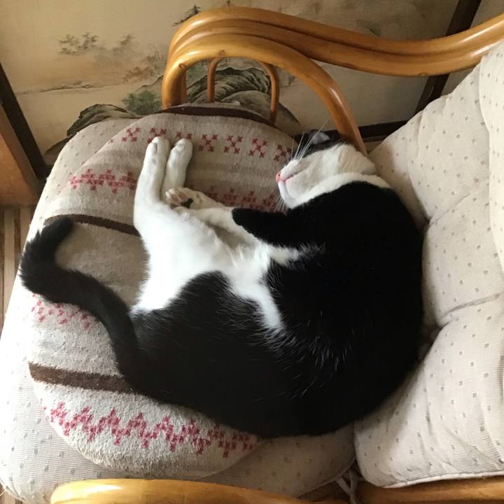 2cc91200 efb3 44c7 b196 2902851aefbc 1751456617456