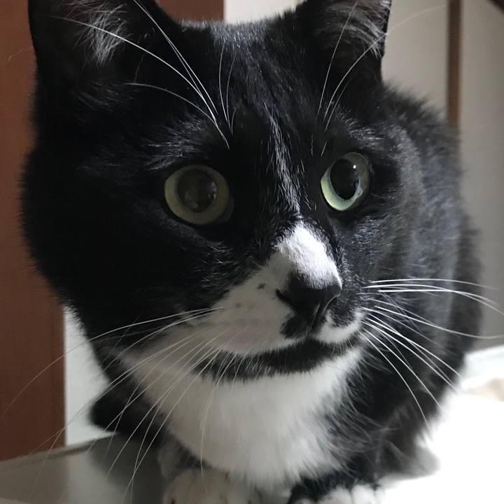 2cc91dce e7df 4c6b 8eea 859fc36067c1 1622260898950