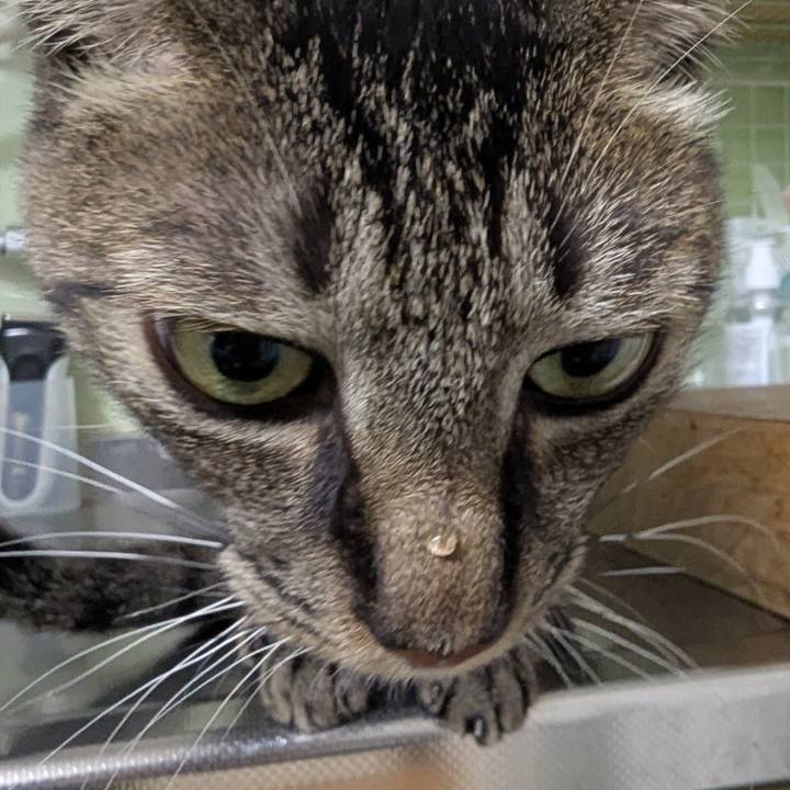 2cc94ef1 6390 4493 8a6f f0f77a492e98 1763711064573