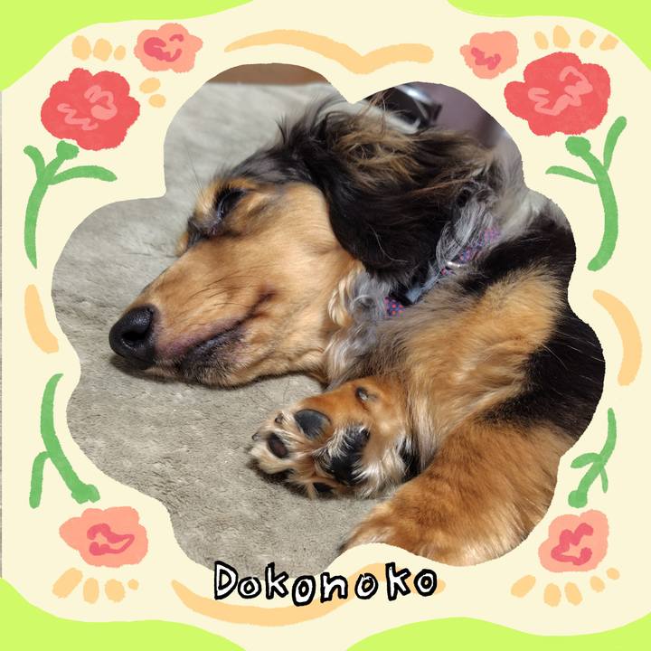 2cc97ae4 2b87 4f21 b7c6 48e1b91854bb 1714957851199