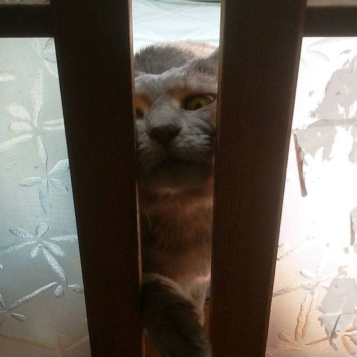 2cc9a685 cec4 4acb b027 413067e04bd1 1587864617879