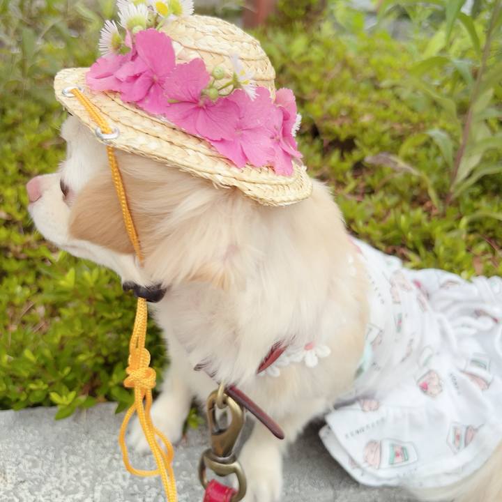 2cc9ac2b 1c7f 4213 9c71 113fcba1b39e 1686742051356