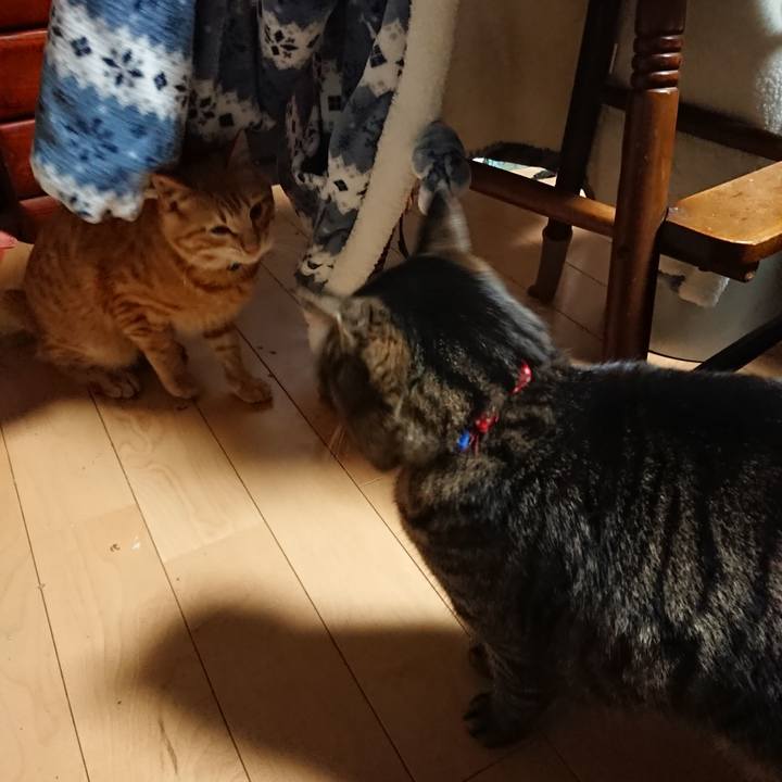 2cc9c250 8451 483c bc95 1cfb8b4f6f42 1643144516596