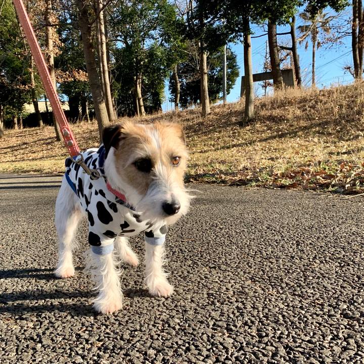 2cc9edfe cf70 48dc ab12 8722dc684bbf 1611128700973