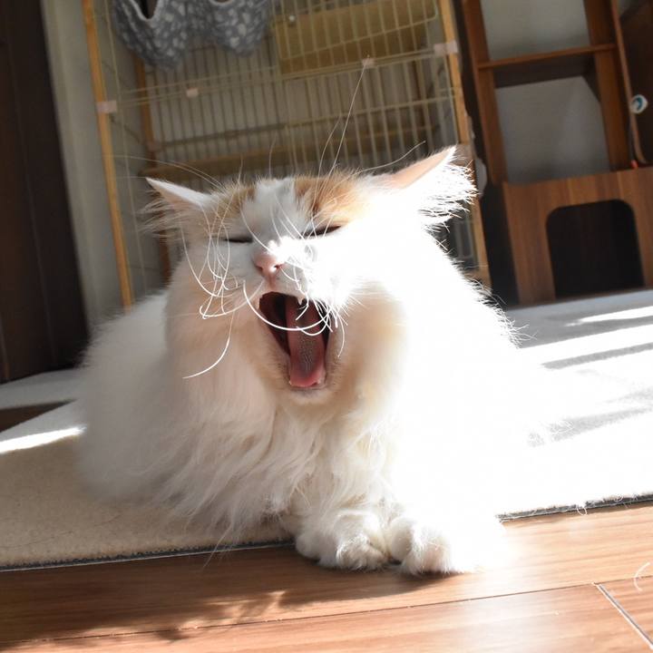 2cca768e 3f29 4d19 a85d 990c13b8d63b 1765589245159