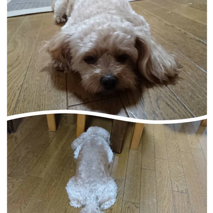 2cca7919 f491 466d 9ae4 0503f7dd3116 1533294409459