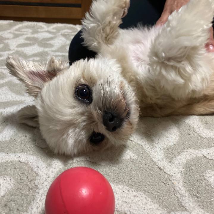 2ccab0f2 3cae 4840 bbe0 729f13cf6045 1582717439544