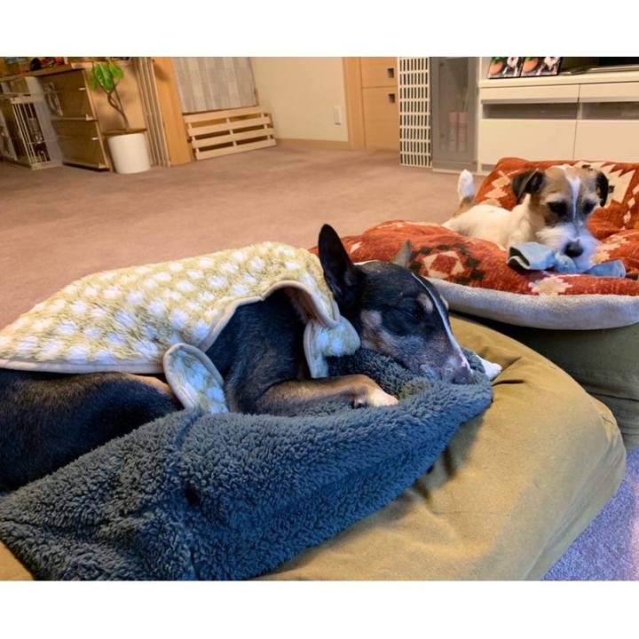 2ccab651 9cf9 44ce b602 ea5b44726345 1581840229972