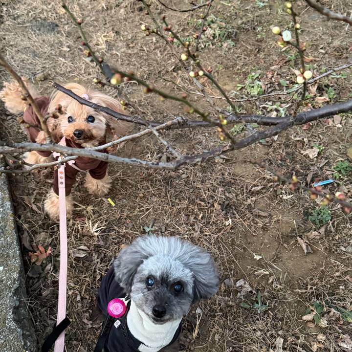 2ccac17d 7697 4a38 9540 730795c94d76 1769210910465