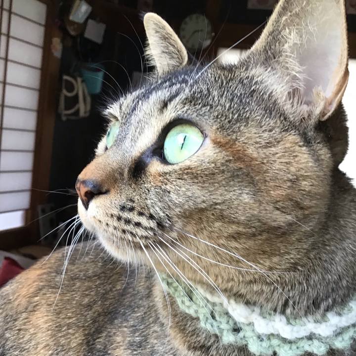 2ccac94b f2e2 44a4 9044 a9d4c76f7e9b 1647153477395