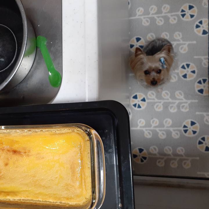 2ccac9cc 95db 4c53 8c55 90c2a8876440 1587201088646