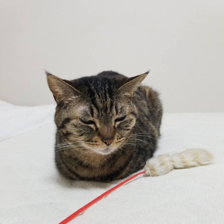 2ccaea73 b4fe 484d 8be6 d59645142441 1555451447675