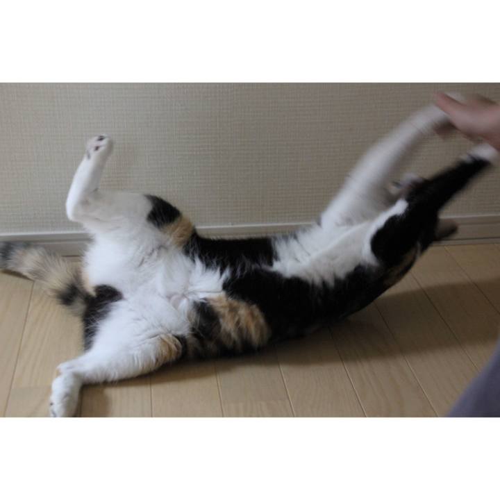 2ccaf2a2 1c11 48da b5dc 7aa849e6b2a3 1661045866972