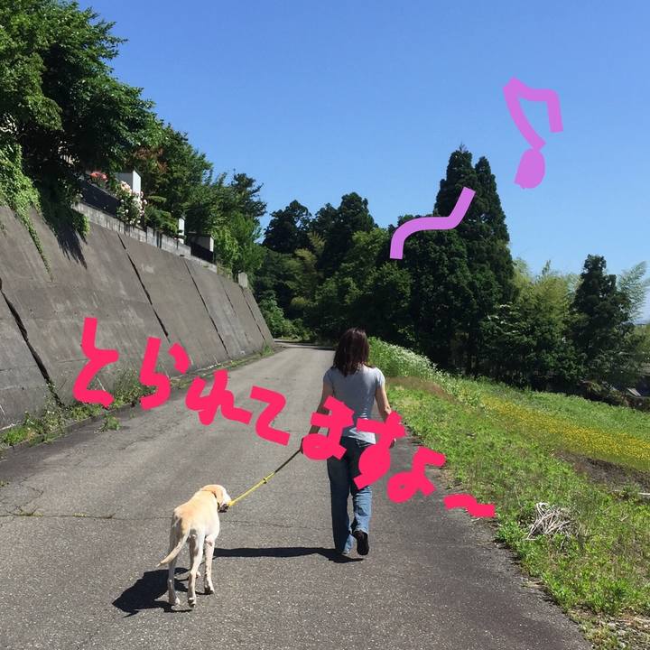 2ccaf687 4631 4635 bff7 a25d3b30f14f 1548932759303