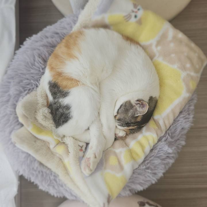 2ccb0c73 b8d8 4acb 8490 38cd3c9fcb71 1775620116828