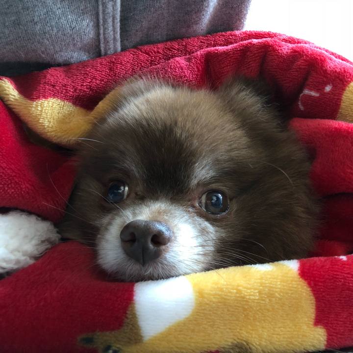 2ccb1494 2511 4722 af5a b26814bad139 1554089459479