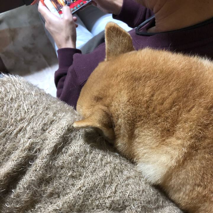 2ccb36bb 9af2 4f0a 8e41 2f7a92c87f5c 1549706749547