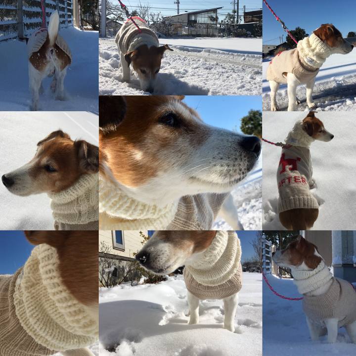 2ccb4996 67d9 4e21 9796 afe574854578 1516713085069