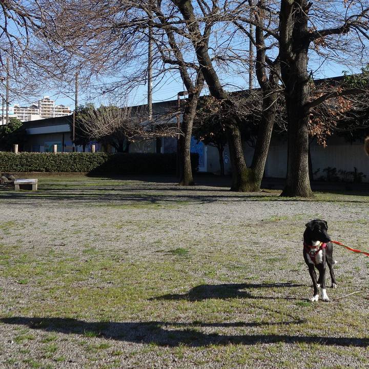 2ccb54db 6b6f 4eba 9ac9 fa44b8850ba8 1583886288047