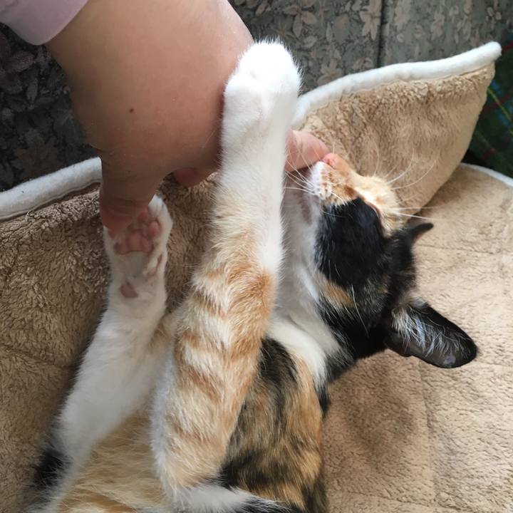 2ccb66ab c1b2 4d06 96b5 87154c84aa18 1519307696377