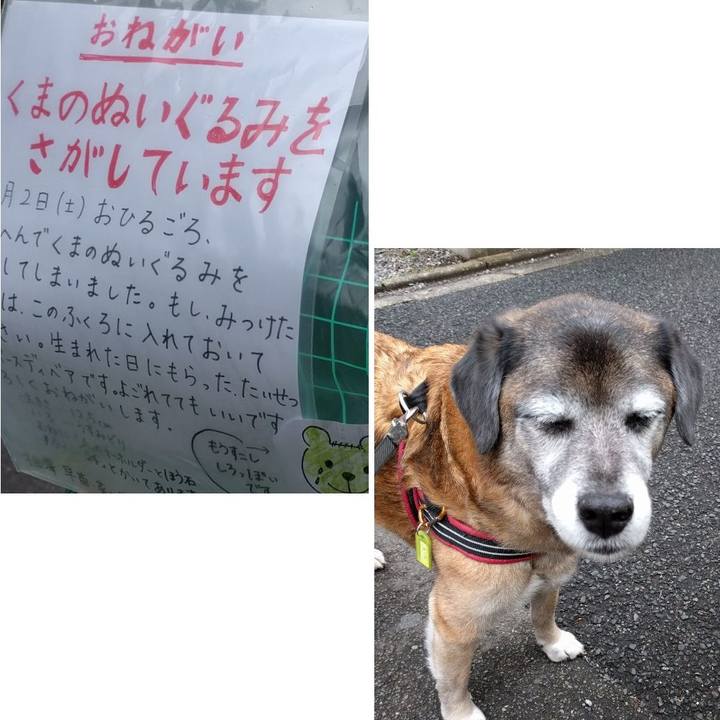 2ccb6bac 47e6 4f45 8369 e9c0fb20deaa 1551832428892