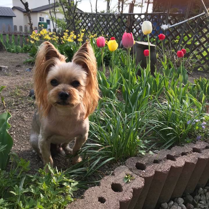 2ccb7712 30b9 4a94 a98a cdc9e6690911 1558342626380