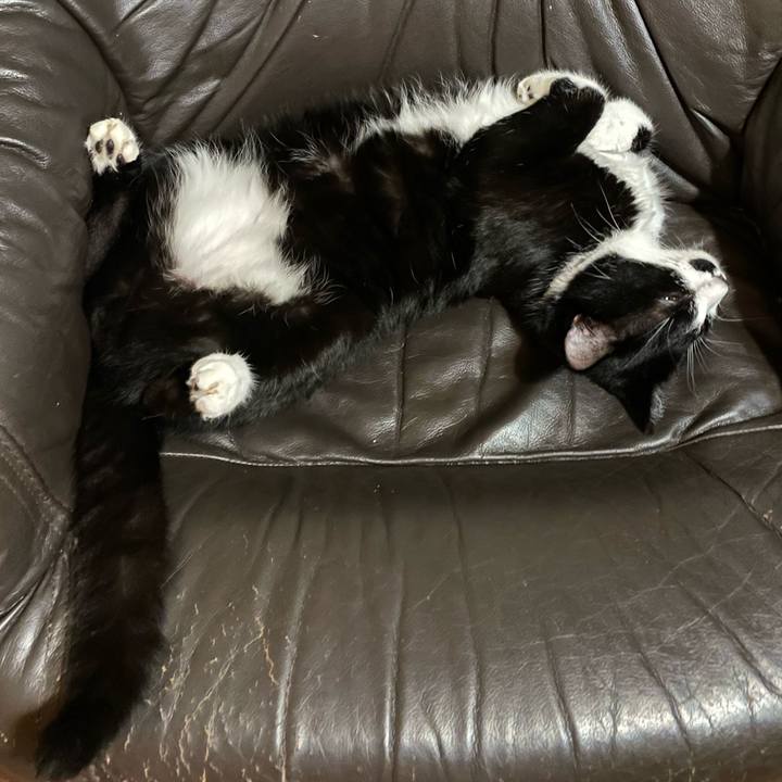 2ccb9153 ae6f 4855 b0f6 2fe95bed0caa 1662903273992