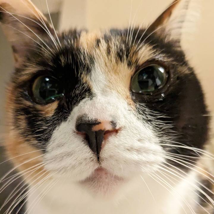 2ccba2ed 1b60 4b71 aae3 317ddcc260bb 1673929180888