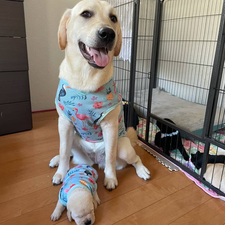 2ccbbae7 e4f0 4f83 8435 f42f83387590 1626437036225