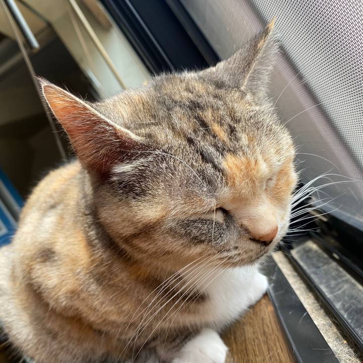 2ccbc8d7 9fc6 4f15 980e 27ac996a45ce 1588041759843