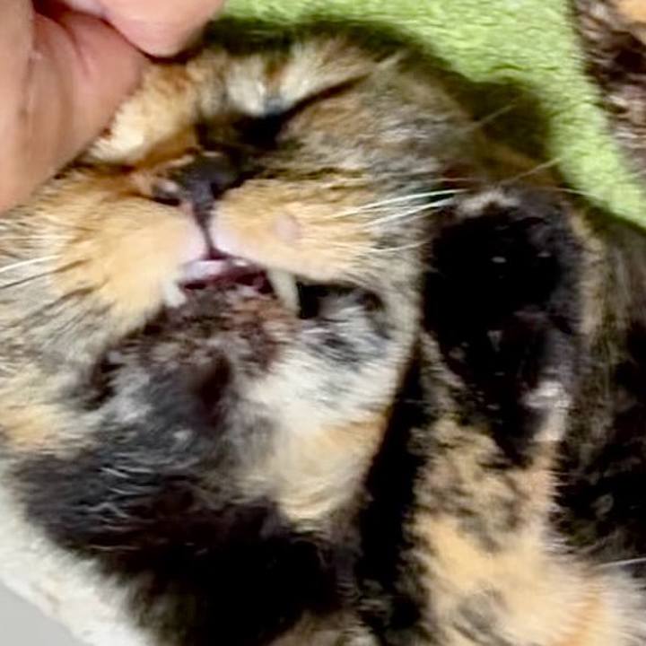 2ccc5e9f c6d5 4ccd 968c 6db75cab5922 1752149812150