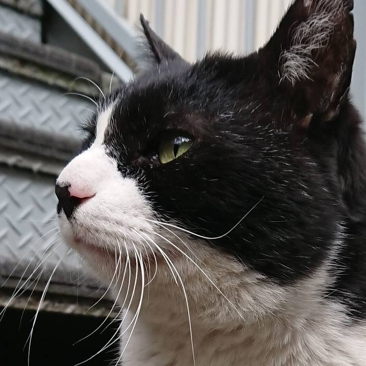 2ccc75f1 7925 4289 a27f 2a16aac453ca 1550368163440