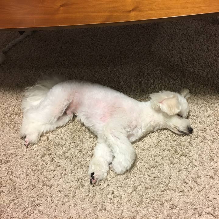 2ccc7c67 e250 422f a1e5 a18dd048ba84 1539090821831