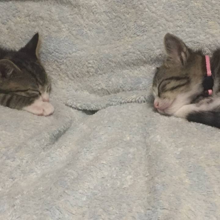 2ccc841e 92af 4b7e bce1 84e8e55cc30d 1654357863191