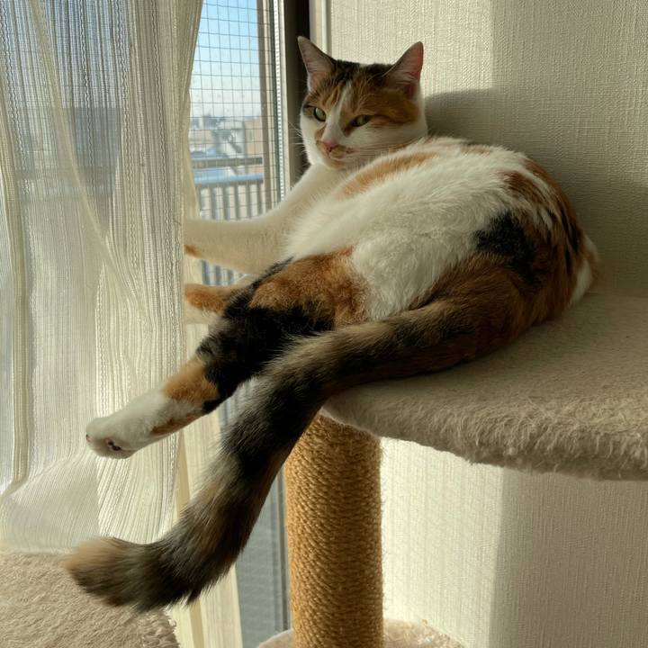 2ccc857d 4e0a 434f 9526 12382386c2d8 1606735277121