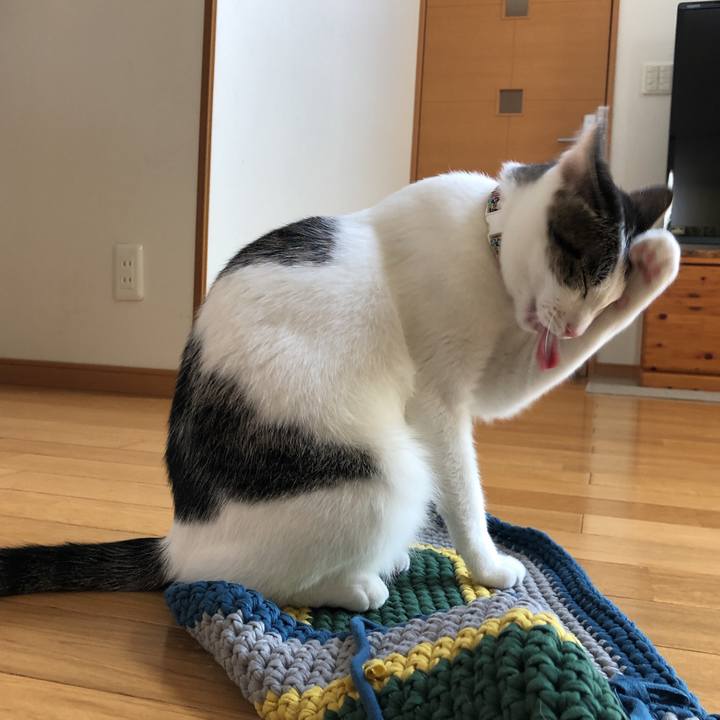 2cccb9d0 8689 48d0 b5c3 1cc980e8a01e 1601275279964